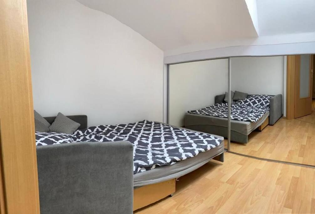 Apartment Nowy